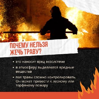 Опасность Поджогов Сухой Травы: Как Избежать Печальных Последствий
